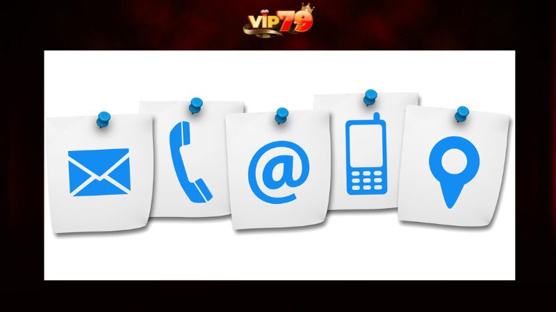 Lưu ý khi liên hệ Vip79